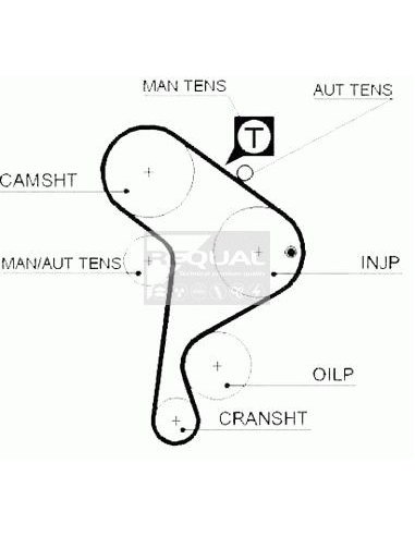 Kit distribution pour VW/ Audi/ Seat 1.9D