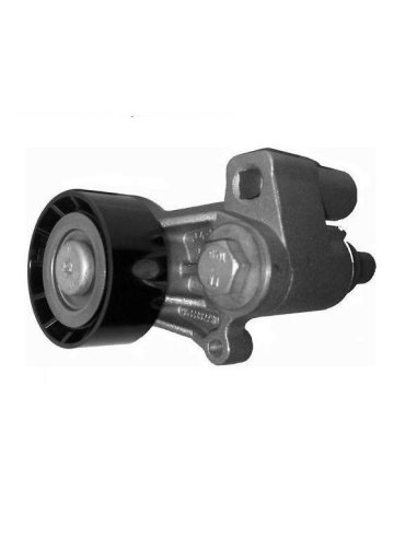 Galet tendeur Peugeot 206 306 406 605...