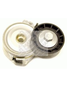 galet tendeur peugeot 206 306 307 Boxer Expert Citroen Xsara Berlingo Jumpy Jumper Fiat Scudo Ducato