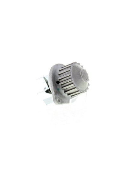 Pompe à eau Berlingo C2 C3 Nemo Saxo Xsara 106 206 207 306 307 Partner Bipper