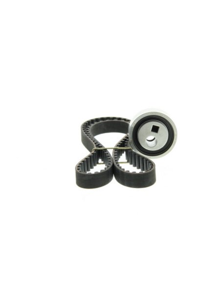 Kit distribution CItroen Ax Berlingo C15 Saxo Xsara Zx Peugeot 106 205 206 306 309 405 Partner  -1.4i