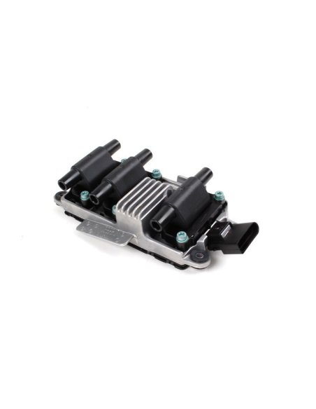 Bobine d allumage Audi A4 A6 A8 Vw Passat Skoda Superb V6 2.4 2.6 2.8