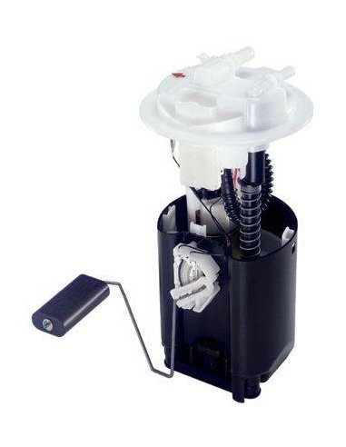 Pompe de Gavage Pour Peugeot 206 607 Partner Citroen Xsara Picasso Berlingo 2.0 Hdi 
