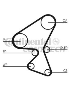 Kit distribution+pompe a eau Peugeot Citroen  Ford 1.6 Hdi - Tdci 2