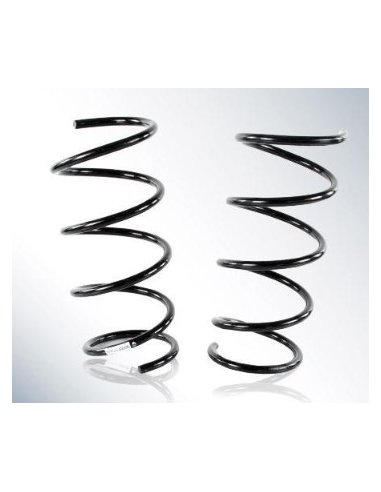 Lot de 2 Ressorts Amortisseur avant Fiat Sedici Suzuki SX4
