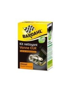 Kit nettoyant vanne EGR 