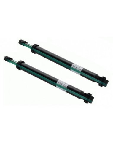 Jeu de 2 amortisseurs arrière Audi A3 Seat Leon 1 Toledo Skoda Octavia VW Bora Golf 4