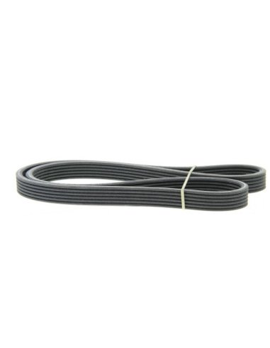 Courroie d'accessoires  Audi VW