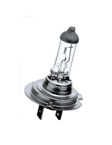 Ampoule H7 12v 55w 