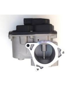 Vanne EGR Audi Seat VW