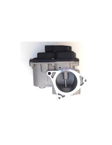 Vanne EGR Audi Seat VW