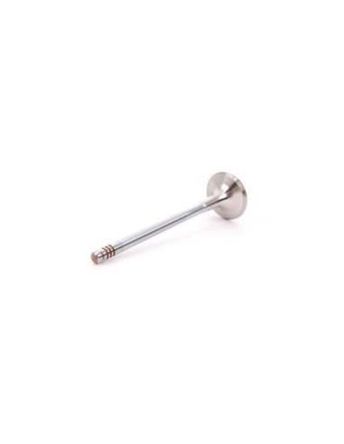 Soupape d'echappement Seat Skoda Vw Sdi