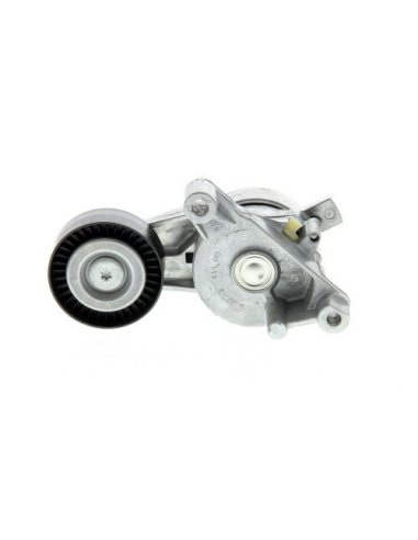 Galet tendeur Audi A3 Seat Altea Leon Toledo Skoda Octavia Vw Caddy Golf 5 Jetta 3 Passat Touran Tdi