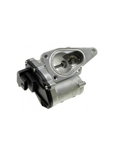 VANNE EGR SIEMENS / VDO RENAULT...