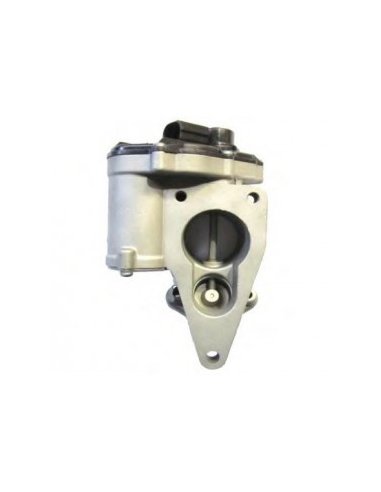 VANNE EGR SIEMENS / VDO RENAULT...