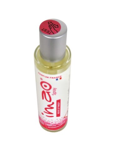 Parfum d'ambiance Vapo Rêve d'Ynes 30ml IMAO