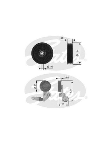 image Cicerone