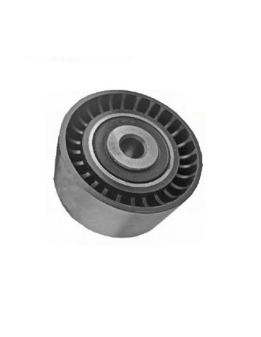 Galet enrouleur de courroie de distribution Citroen Ford Mini Peugeot 1.4 1.6 Hdi Tdci