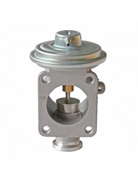 Vanne EGR Pneumatique Bmw Serie 1 3 5 7 X5