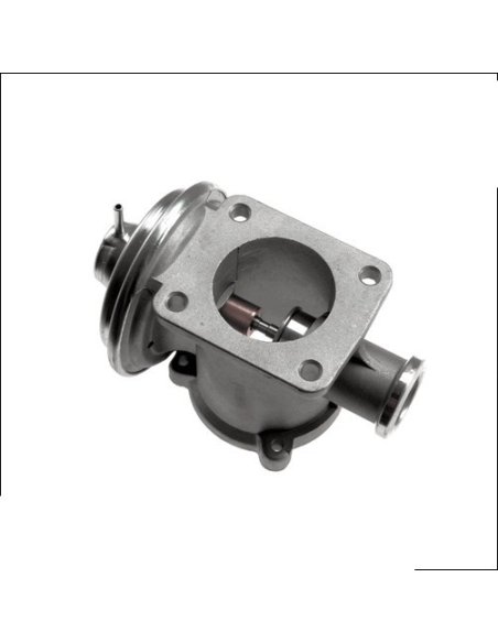 Vanne EGR Pneumatique Bmw Serie 1 3 5 7 X5
