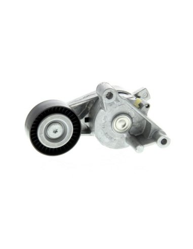 Galet tendeur de courroie d'accessoire Audi A3 moteur BKC