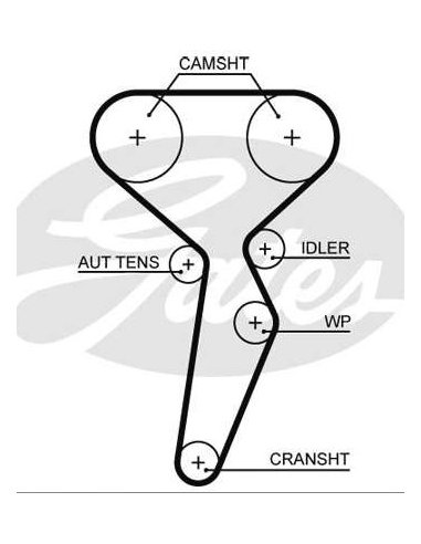 Courroie distribution Renault