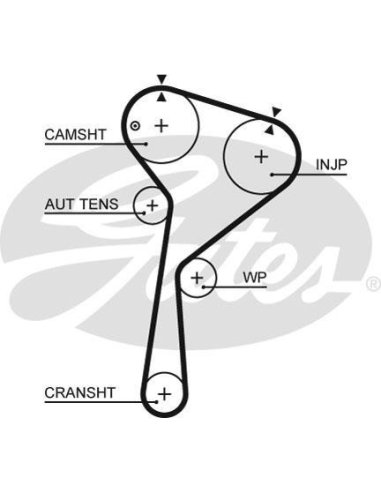 Courroie distribution Renault  1.5 DCI Captur Clio 4 mégane 3