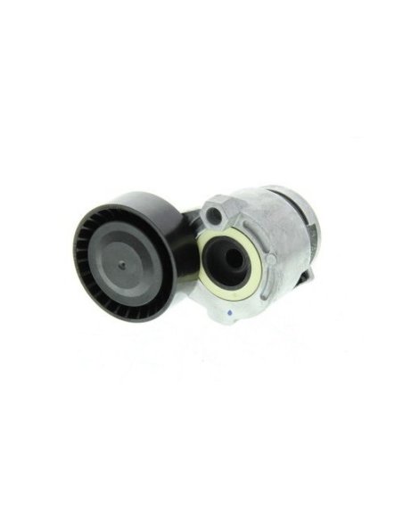 Galet tendeur de courroie accessoire Renault Clio 2 - Grand Scenic 2 - Kangoo - Megane 2 - Modus - Scenic 2 - Thalia 1.5 Dci
