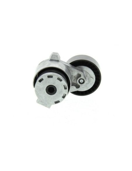 Galet tendeur de courroie accessoire Renault Clio 2 - Grand Scenic 2 - Kangoo - Megane 2 - Modus - Scenic 2 - Thalia 1.5 Dci