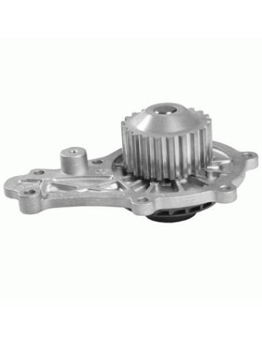 Pompe a eau Peugeot 206 207 307 Citroen Xsara C1 C2 1.4 HDI