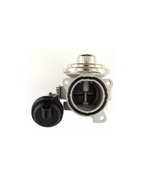 Vanne EGR Pneumatique Audi A4 A6 Passat Skoda 1.9 TDI 90 100 115cv