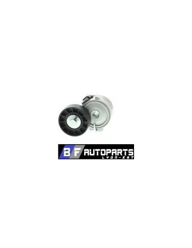 Galet tendeur courroie d'accessoires Peugeot 206 306 406 806 Citroen Xsara Xantia Berlingo 2.0 Hdi