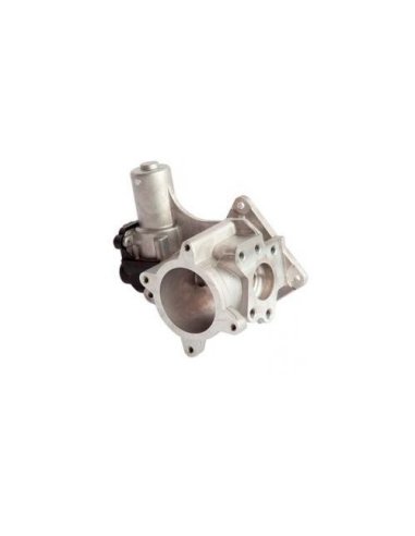 Vanne EGR Vw Crafter 30-35 30-50...