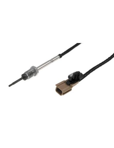 Sonde de température de gaz...