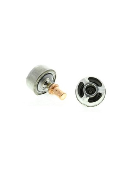 Thermostat d'eau Renault 4 5 6 11 15 1 9 21 Super 5