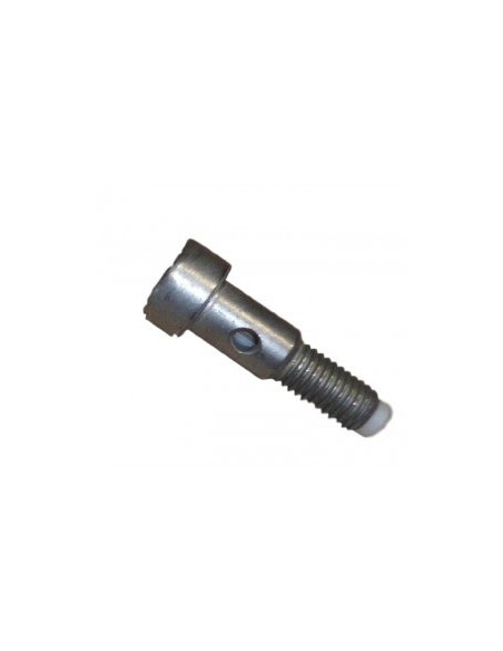 Vis de raccord de turbo Citroen Peugeot 1.6 Hdi (long)