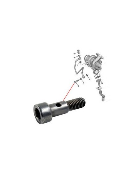 Vis de raccord de turbo Citroen Peugeot 1.6 Hdi (long)