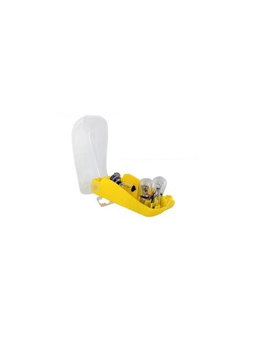 Coffret d'ampoules de Secours H4 12V 55W