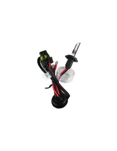 Lot de 2 Ampoules Xenon H7