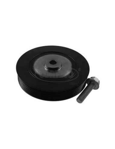 Poulie damper + vis Renault Clio kangoo Mégane Scénic R19 R11 Super 5 Diesel
