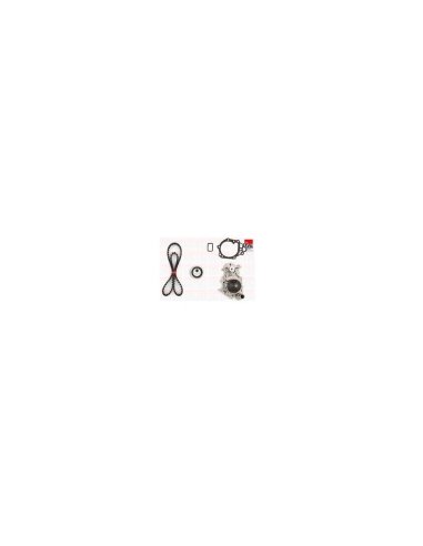 Kit Courroie de distribution Pompe a eau Renault Clio Twingo Kangoo 1.2 D7F