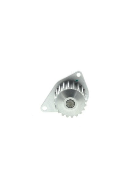 Pompe a eau Peugeot 106 205 309 Partner Citroen Ax Saxo Berlingo Xsara Zx Bx