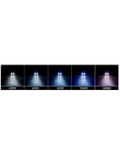 Kit Xenon 35W Slim H7 4300k 2
