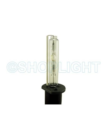 KIT XENON H11 SUPER CANBUS 8000K