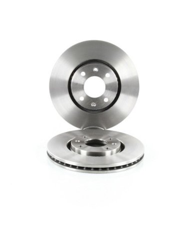 Jeu de 2 Disques de frein pour PSA