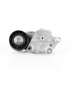 Galet Tendeur Citroen C1 C2 C3 C4 107 206 307 1007 Fiesta Focus C-max Mini Aigo Volvo C30. S40 V50 V70