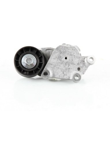 Galet tendeur Citroën C1 C2 C3 C4 107...