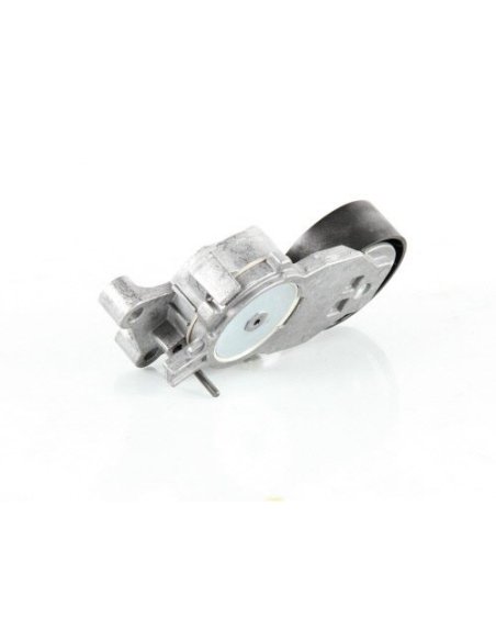 Galet tendeur Citroën C1 C2 C3 C4 107 206 307 1007 Fiesta Focus C-max Mini Toyota  Aigo Volvo C30. S40 V50 V70