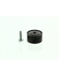 Galet enrouleur courroie accessoire Renault Megane Scenic Laguna Espace 3 Dti