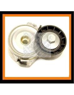 Galet Tendeur pour 1.9D+2.0/ 2.2 Hdi diametre 60mm